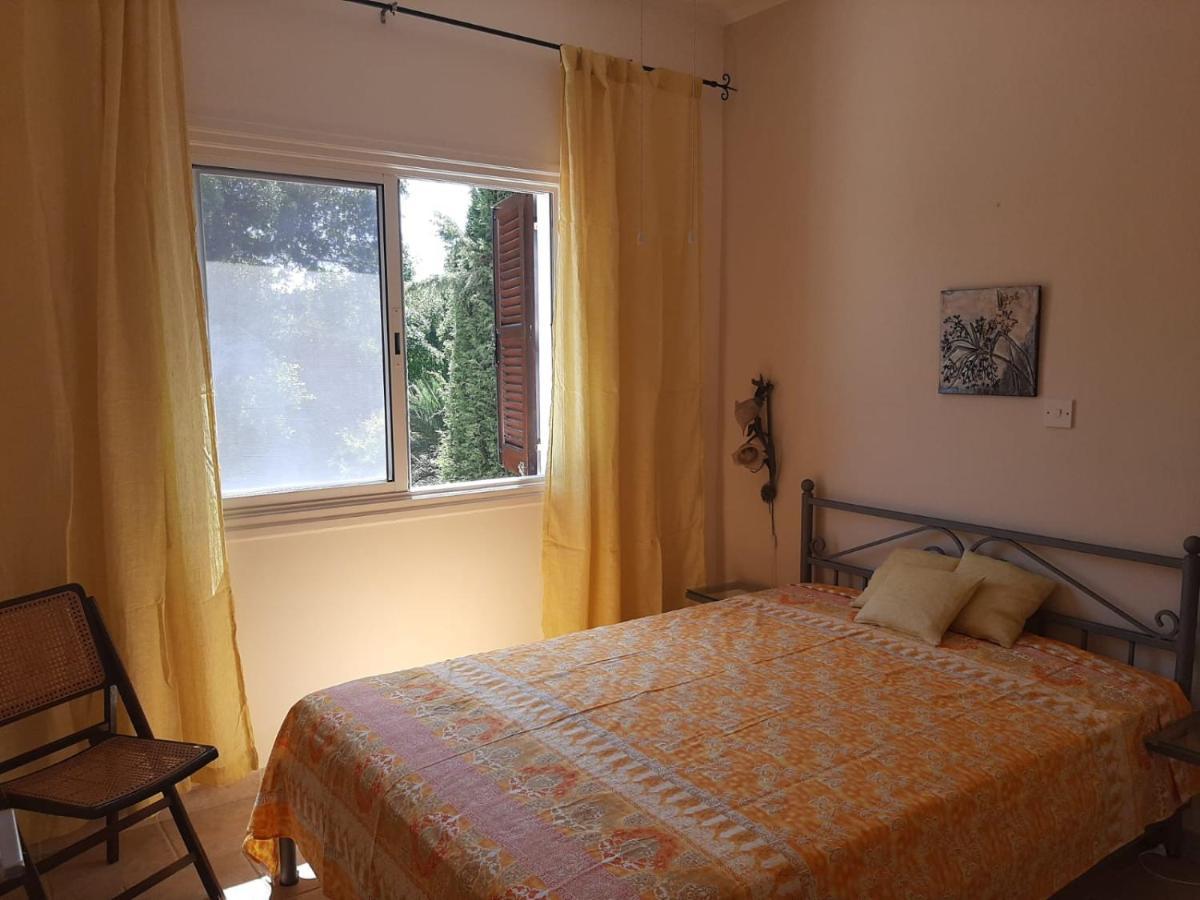 Limnaria Deluxe Maisonette Paphos Exteriér fotografie